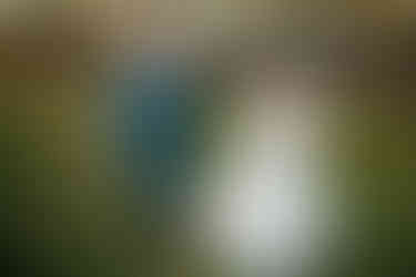 Lititz Springs Inn Wedding