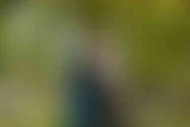 Valley Forge National Park Engagement Photos