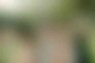 Cameron Estate Inn Bridal Party Photos