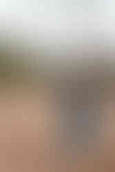 Gifford Pinchot State Park Engagement