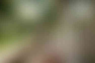 Cameron Estate Inn First Look