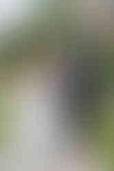 Box Hill Mansion Wedding