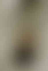 Black and White Wedding Details