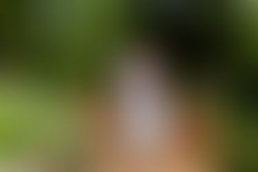 Hershey Gardens Engagement Photos
