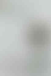 Cameron Estate Inn Wedding Details