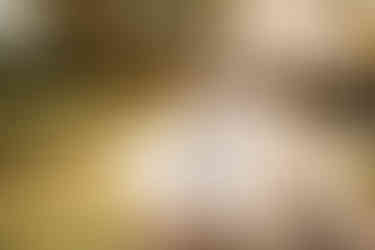 Lititz Springs Inn Wedding