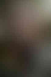 The Inn at Leola Village Engagement Photos