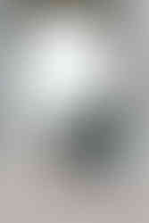 Valley Forge National Park Engagement Photos