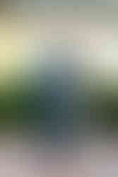 Historic Ashland Wedding