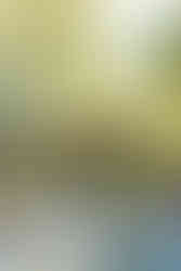 Historic Ashland Wedding