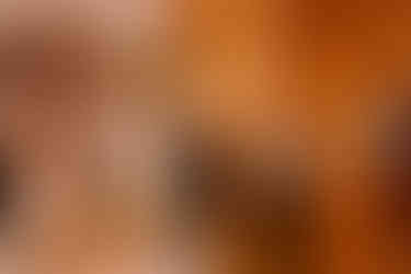 Historic Ashland Wedding