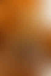 Wyndridge Farm Wedding