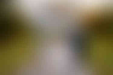 Valley Forge National Park Photoshoot