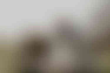 bride and groom kissing at moody anniversary photo session