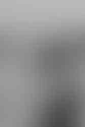 Gifford Pinchot State Park Engagement