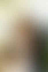 Historic Ashland Wedding