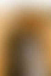 Valley Forge National Park Photoshoot