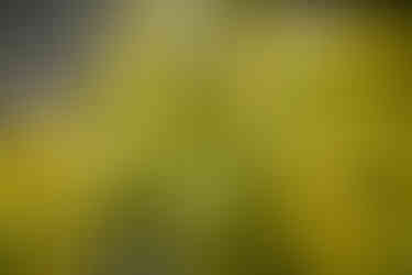 The Inn at Leola Village Engagement Photos