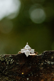 Valley Forge National Park Engagement Photos