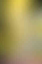 Elkins Estate Wedding