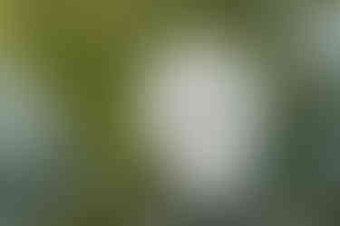 Pomme Radnor Wedding Reception