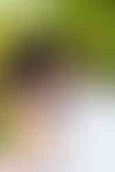 Elkins Estate Wedding