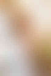 Elkins Estate Wedding