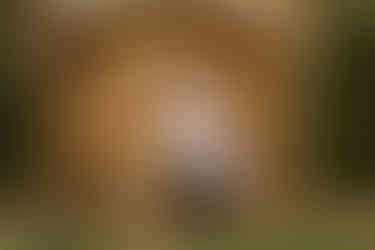 Stone Tower Winery Engagement