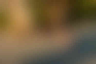 Hershey Gardens Engagement Photos