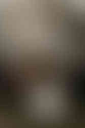 Box Hill Mansion Wedding Reception