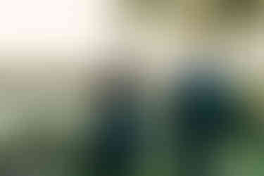 Box Hill Mansion Wedding Ceremony