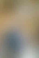 Lititz Springs Inn Wedding