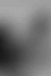 Supply Manheim Engagement