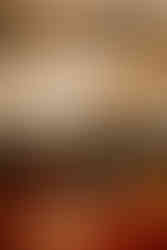 Lititz Springs Inn Wedding Reception