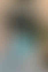 Conestoga House and Gardens Proposal