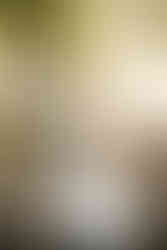 Lititz Springs Inn Wedding