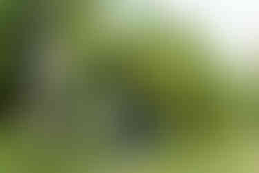 Valley Forge National Park Engagement Photos