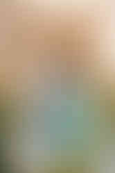 Conestoga House and Gardens Proposal