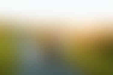 Ballas Park Engagement