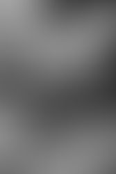 Bride and Groom at Spring Valley Farms