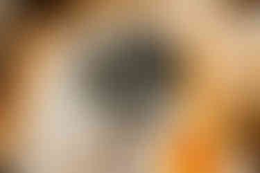 pennsylvania couples photography