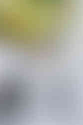 Elkins Estate Wedding