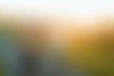 Ballas Park Engagement