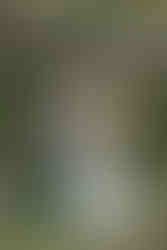 Pomme Radnor Bride Getting Ready