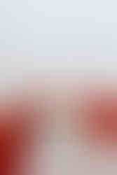 Historic Ashland Wedding Details