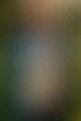 Lititz Springs Inn Wedding