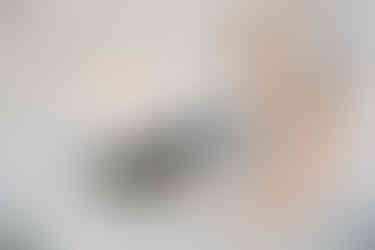 Historic Ashland Wedding Details