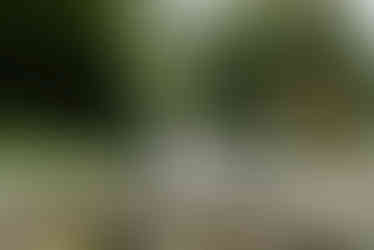 Box Hill Mansion Wedding