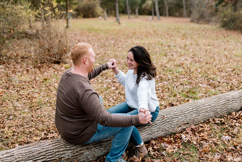 Gifford Pinchot State Park Engagement