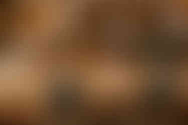 Lititz Springs Inn Wedding